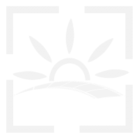 خدمات سینمایی نویان
